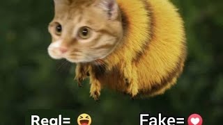 1Hour of Meme Compilation V45