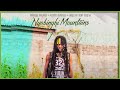 Imeru Tafari X Addis Pablo X Green Lion Crew Nyabinghi Mountains Official Audio 2022 Imeru Tafari X Addis Pablo X Green Lion Crew Nyabinghi Mountains Official Audio 2022