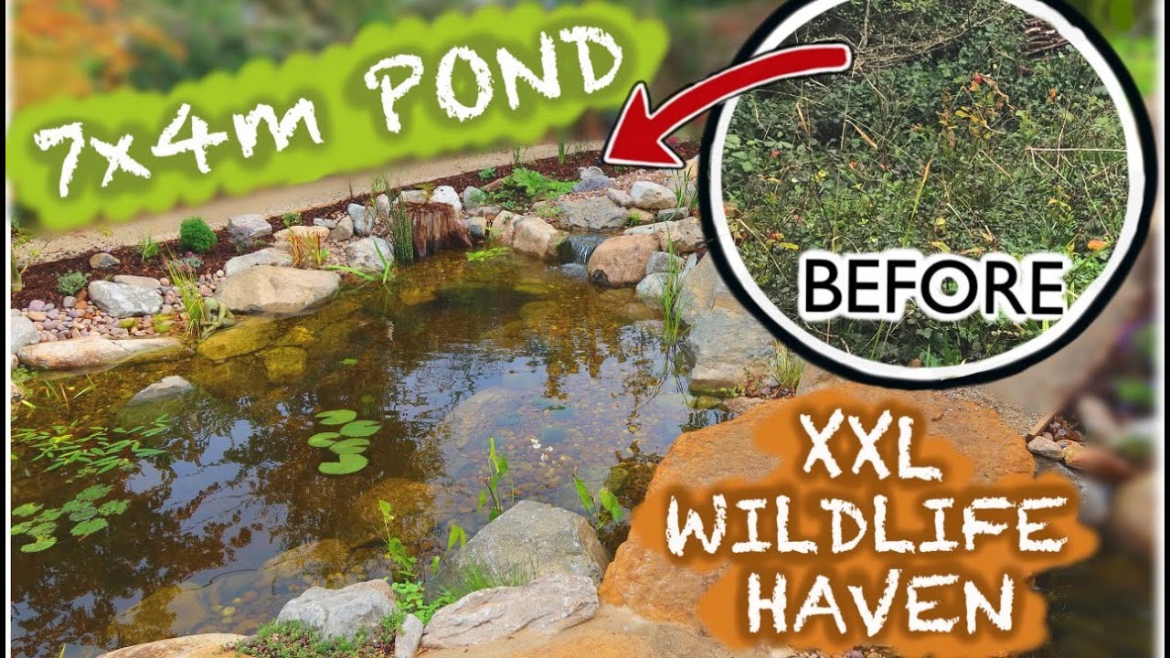 BIG REVEAL XXL Wildlife Waterscapes| Pt.3