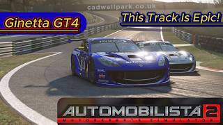 Ams2 Epic Ginetta Gt4 Race At Cadwell Park My First Race On This Track