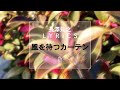 【長澤知之 L Y R I C S】風を待つカーテン [H Ver.]