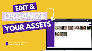 This Assets Trick Will Save You Tons Of Time!
