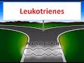 Leukotrienes in 2 minutes  production and inhibitor drugs