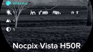 Nocpix Vista H50R Thermal Monocular! Best Monocular? #nocpix #vista #thermal