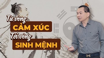 CHUYỂN HÓA TÂM THỨC TỪ VÒNG CẢM XÚC ĐẾN VÒNG SINH MỆNH | Ngô Minh Tuấn | Học Viện CEO Việt Nam