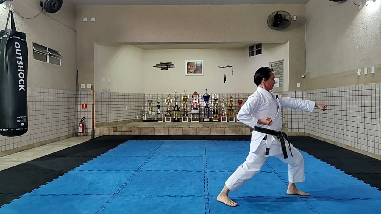 KATA HEIAN SHODAN: Detalhes ocultos no kata .
