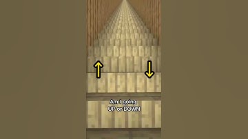 Minecraft  Am I going UP or DOWN #shorts #minecraft