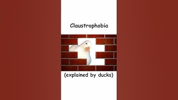 Claustrophobia (explained by ducks)