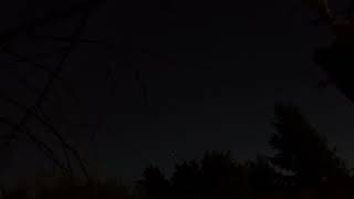 DSCN3102