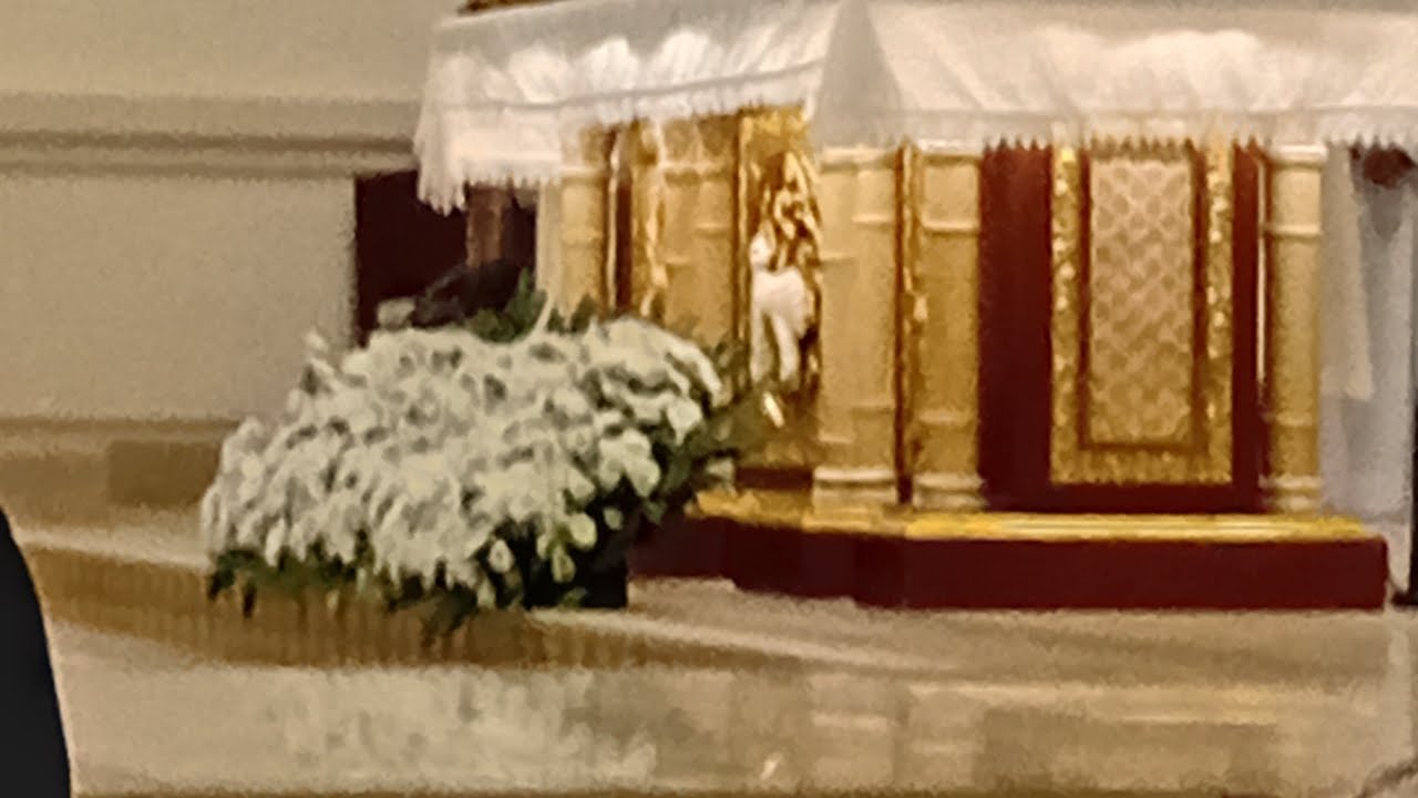 01-24-26  A  BLESSED DAY TO EVERYONE.