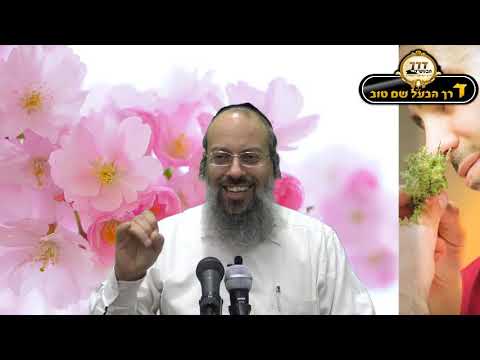 פרשת פקודי | מי נקרא בעל החוטם | חיבור לאלוקות דרך השפלות ᴴᴰ