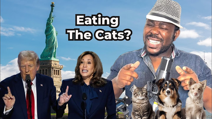 Ewangson - Eating The Cats (The Kiffness ft.  Donald Trump, Remix)