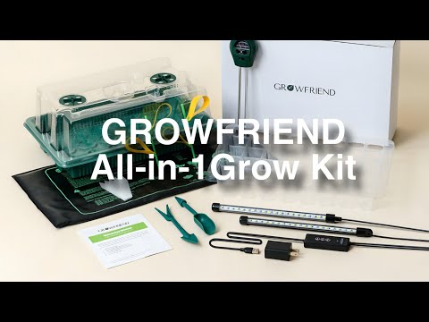 Inexpensive Seed Starter