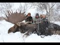 Kamchatka Moose hunt