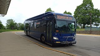 Ride On Pace Bus 2020 New Flyer XD40 20476 On Rt 303 Forest Park - Rosemont to North Ave/9th Ave