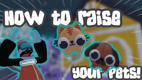 How To Raise Your Pets In Yeeps: Hide And Seek!