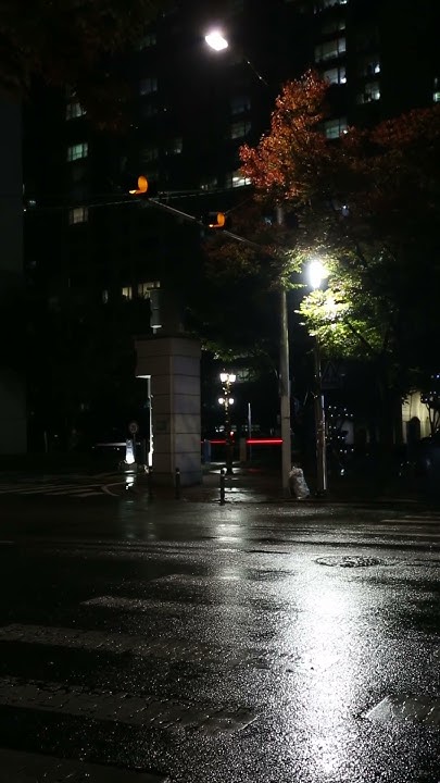 캐논 5D mark3 동영상 - YouTube