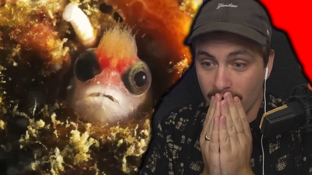 UNBELIEVABLE VIDEOS THAT YOU MAY HAVE MISSED - YouTube