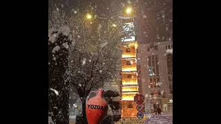 Ferdi Tayfur - Bir Başka Hüzün Taşır Bu Şehrin Geceleri.