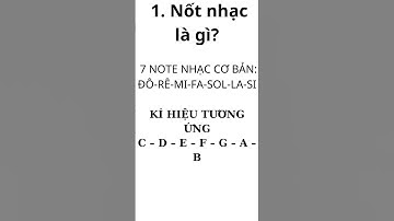 7 NOTE NHẠC CƠ BẢN BẠN CẦN BIẾT (nhạc lý cho người mới )