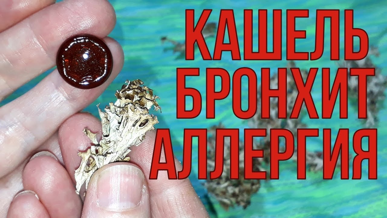 ЛУЧШЕЕ средство от КАШЛЯ и сезонной аллергии, мало кто знает об этом.