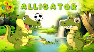 Alligator Song For Kids I Kids Songs And Nursery Rhymes For Kids I Learning Videos For Kids