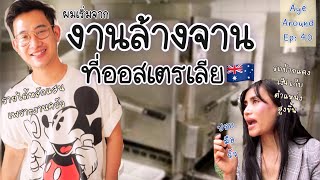 รีวิวงานล้างจานในออสเตรเลีย ง่ายยากยังไง? รายได้ดีมั้ย? โดยผู้มีประสบการณ์ในครัวนับสิบปี นิว อาทิตย์