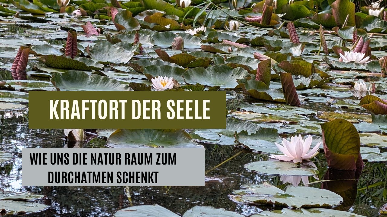 Kraftort für die Seele: Loslassen, ankommen, atmen