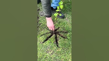 Farm Life Hack for Each and Every! #farming