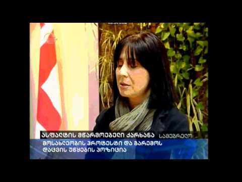 გარემოს დაცვის სამინიოსტრო შპს \"ზუგდიდის საგზაო სამმართველოს\" შესახებ