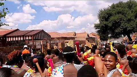 Dance Happiness Zulu nation