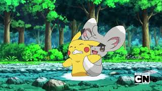 Minccino tickles Pikachu! Pokémon Black \& White