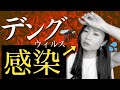 【恐怖】デングウィルス感染…どんな病気？症状から現地での治療・検査やNG行動まで徹底解説！【インド】