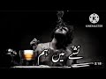 Nashy Mien Ham Mazy Mien Ham Punjabi Best Song 