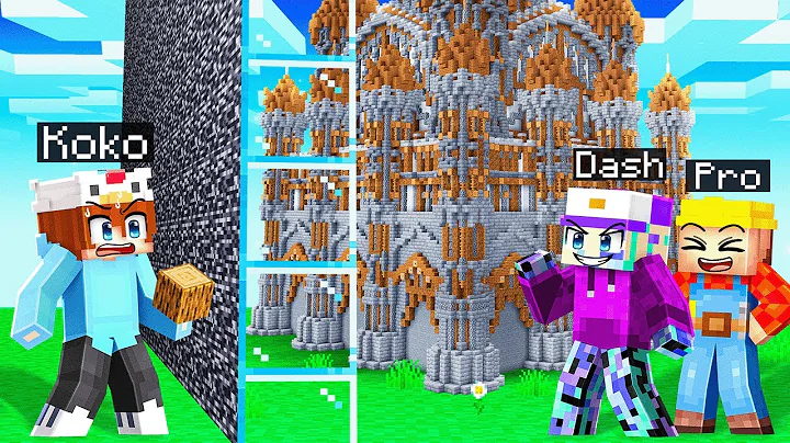 I Hired A Pro Builder To CHEAT in a Build Battle!