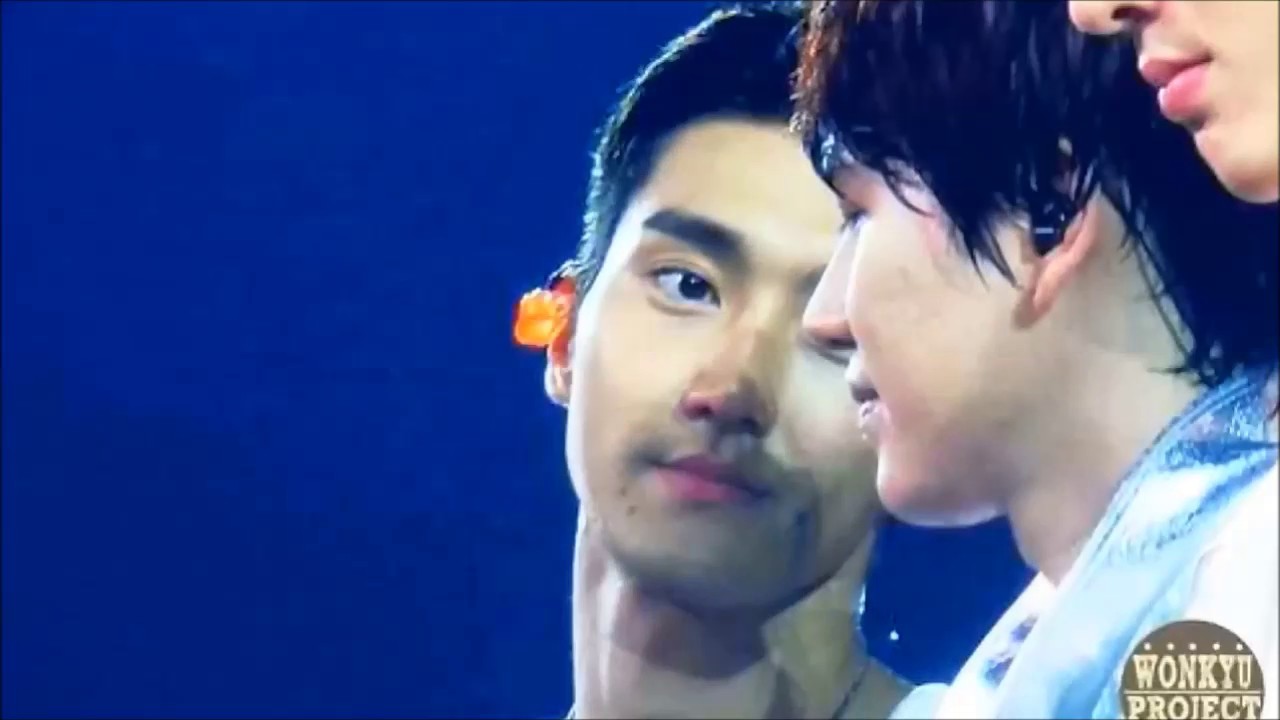 Wonkyu 2017- Call Me Maybe -- Cimorelli