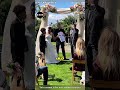 They Discovered The Truth On Their Wedding Day And Their Lives Changed For The Better 