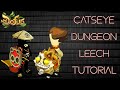 Catseye Dungeon Leeching Tutorial : XP & Kamas