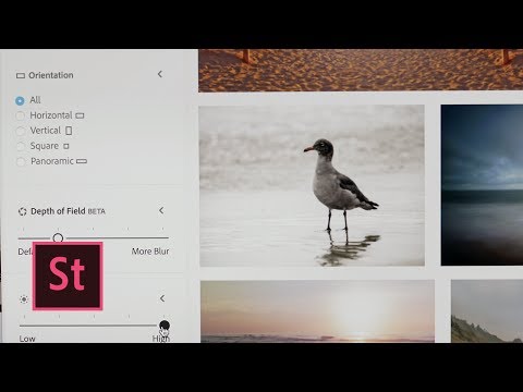 In Adobe Stock