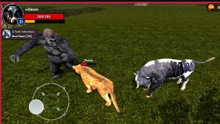 Angry Bull V's Furious Puma V's Strong Gorilla / The Cow Simulator screenshot 4