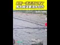 強颱樺加沙對台灣的影響