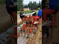 Agricultural automatic system #satisfying #tree #treecuttingmachine #trending #drill #machine