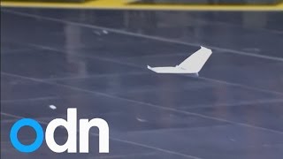 Impresive Red Bull Paper Wings world paper aeroplane championships!