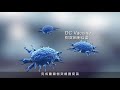 長聖生技-免疫細胞-3D動畫