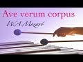 マリンバの響きに包まれる|アヴェ・ヴェルム・コルプス Ave verum corpus|モーツァルト W.A.Mozart|賛美歌・ミサ曲・歌曲|marimba