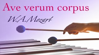 マリンバの響きに包まれる｜アヴェ・ヴェルム・コルプス Ave verum corpus｜モーツァルト W.A.Mozart｜賛美歌・ミサ曲・歌曲｜marimba