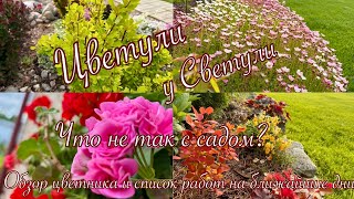 Что не так с садом? Обзор цветника и список работ на ближайшие дни 