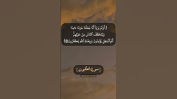 سورة العنكبوت الآية ٦٥ الى ٦٧ بصوت الشيخ محمد صديق المنشاوي