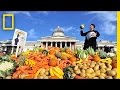 Food-Waste Rebel Wants You to Eat Ugly Food | National Geographic