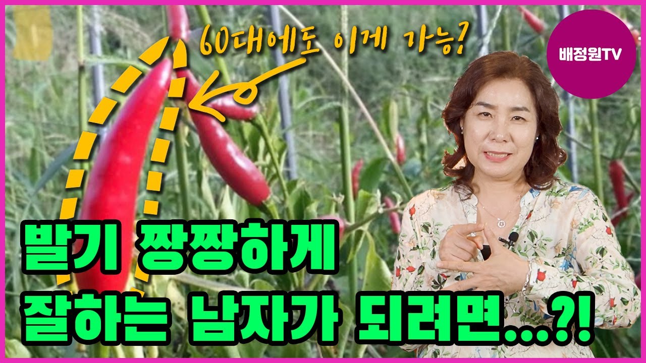 (ENG/CHN)배정원박사가 알려주는 발기력 올리는 강력한 팁!